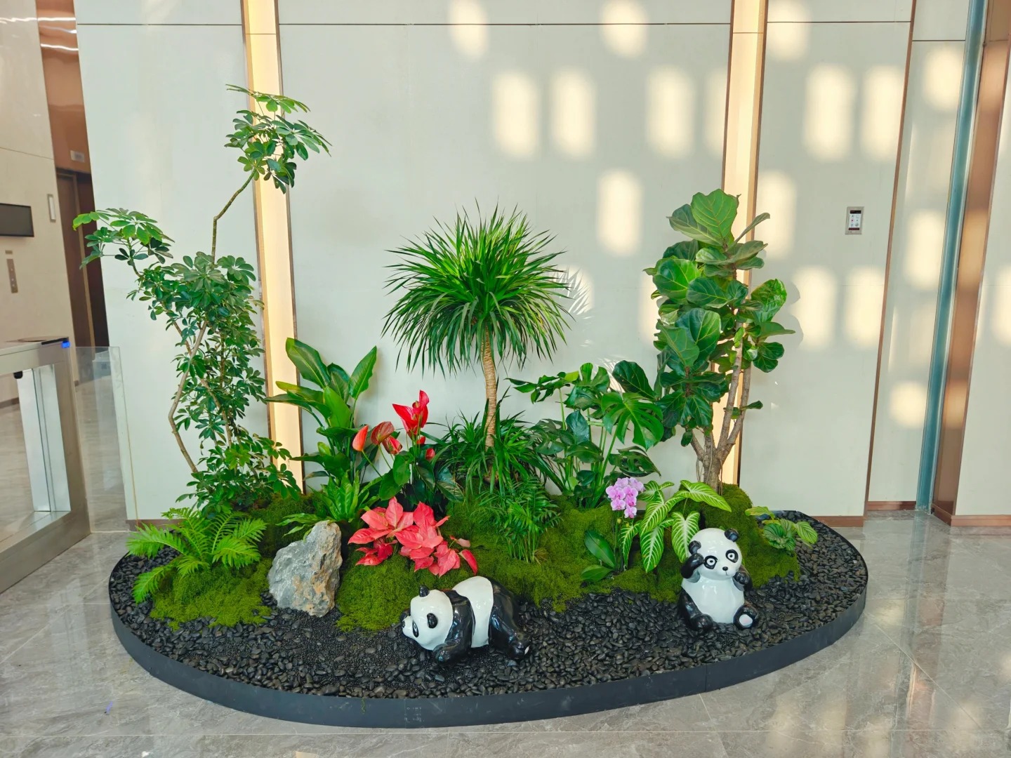 价格实惠的盆景出租，就在宁波余姚！